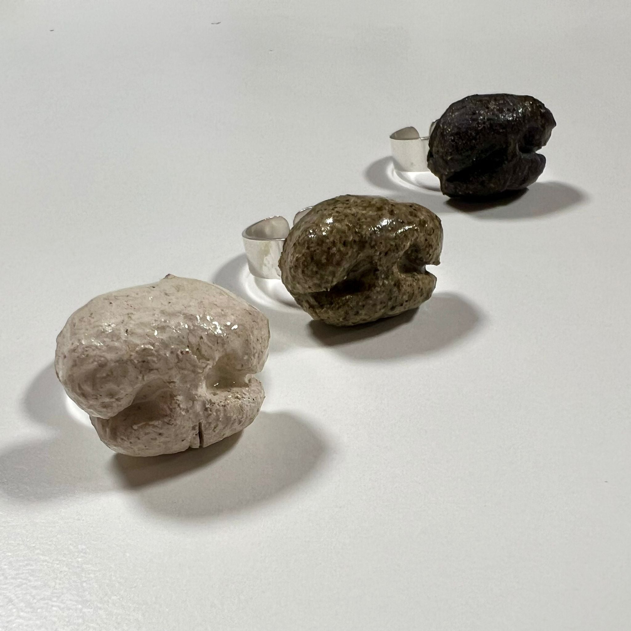 Anillo Hocico de Fú