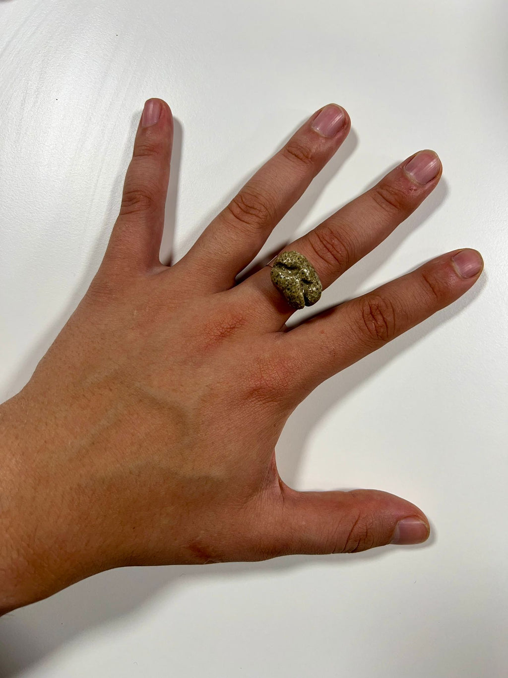 Anillo Hocico de Fú