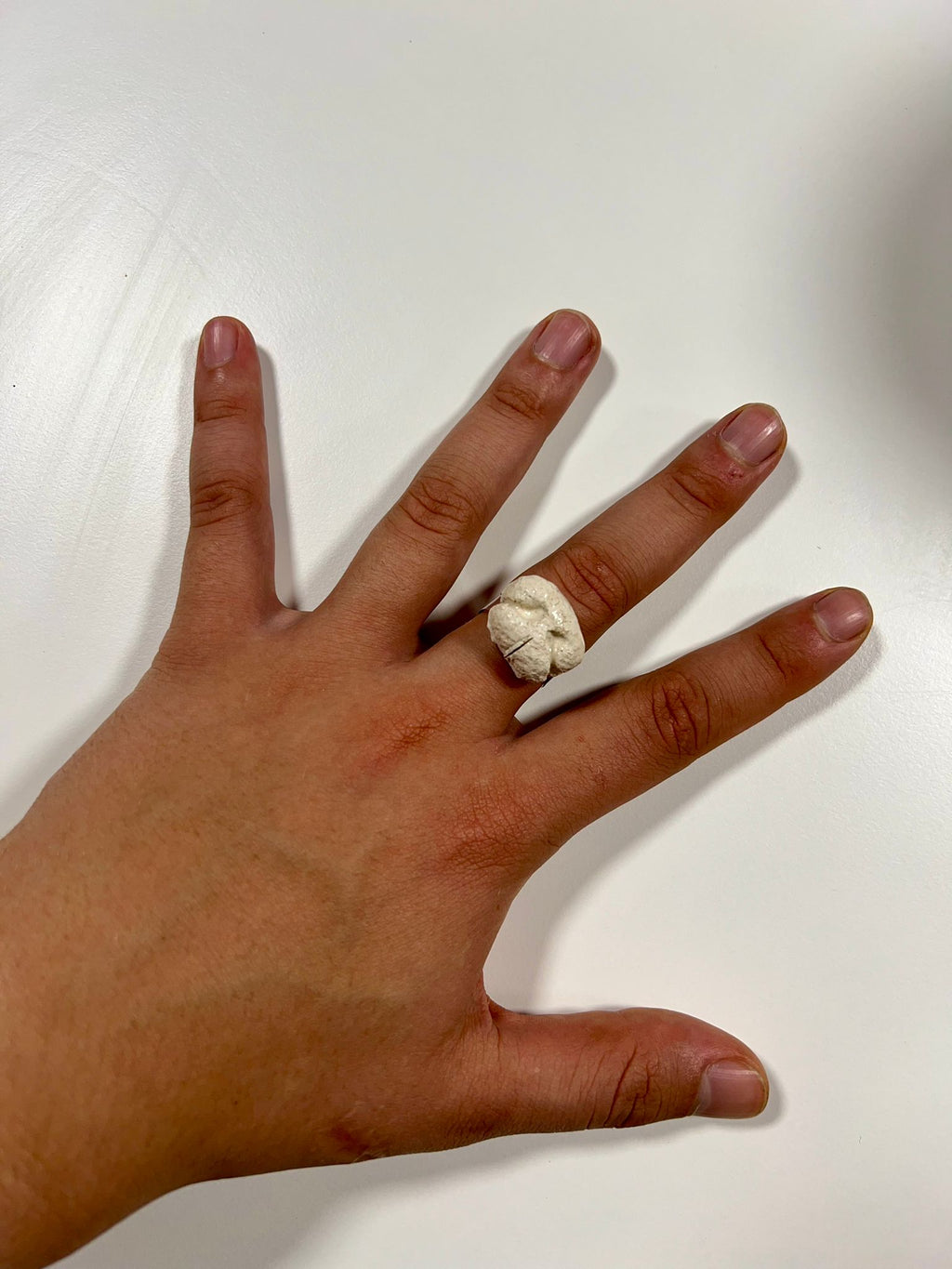 Anillo Hocico de Fú