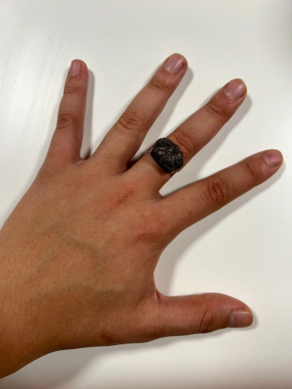 Anillo Hocico de Fú