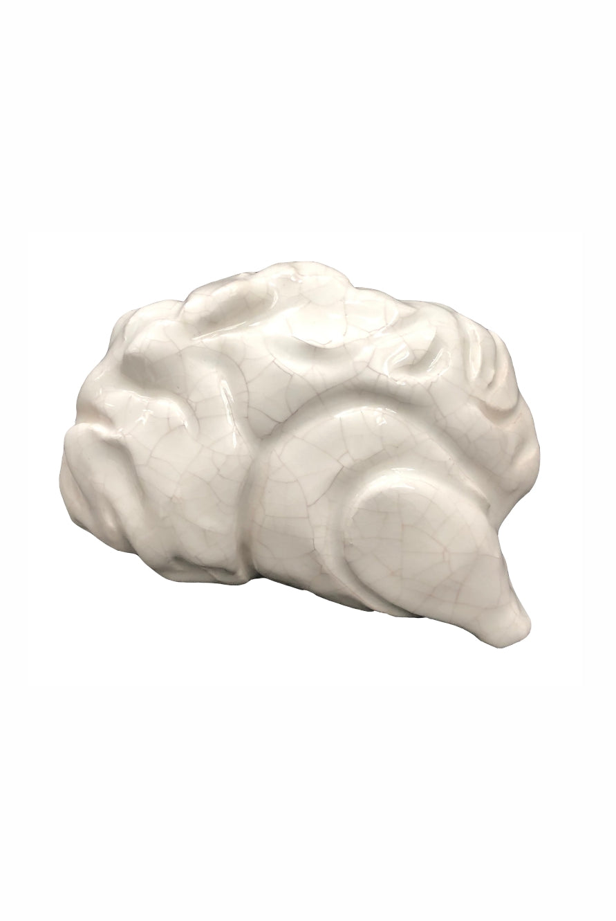 Cerebro - Nuria Blanco