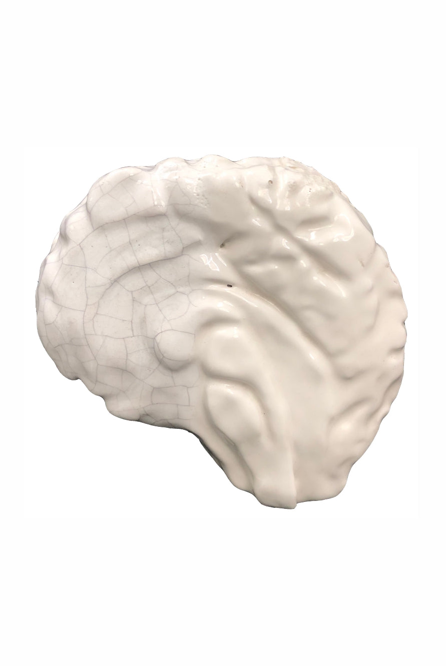 Cerebro - Nuria Blanco