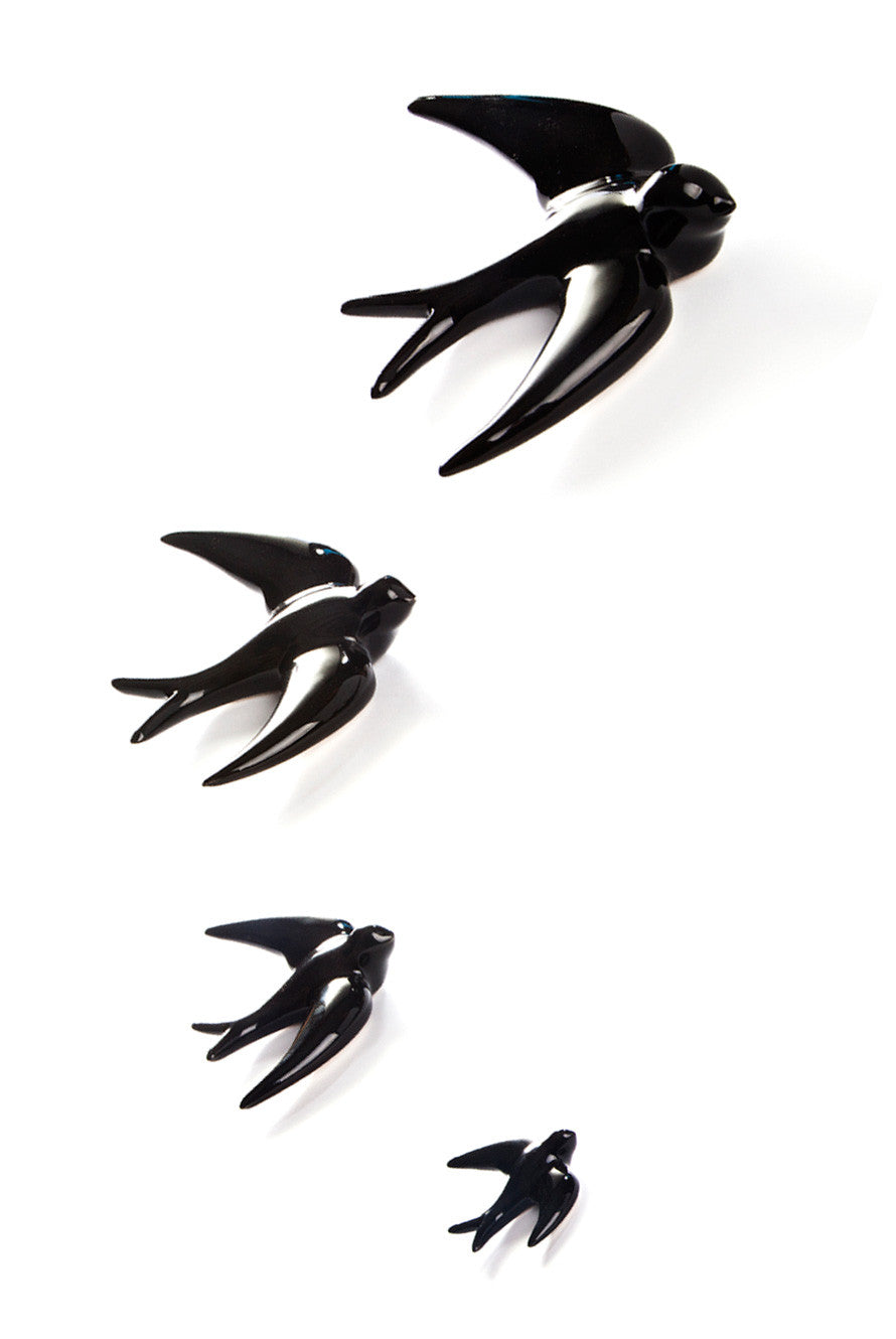 Familia de Golondrinas Negras